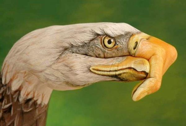 Incredible Hand Paintings by Guido Daniele