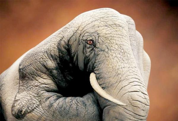 Incredible Hand Paintings by Guido Daniele