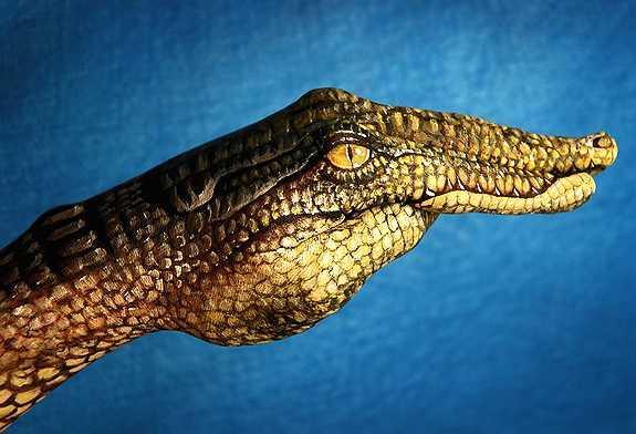 Incredible Hand Paintings by Guido Daniele
