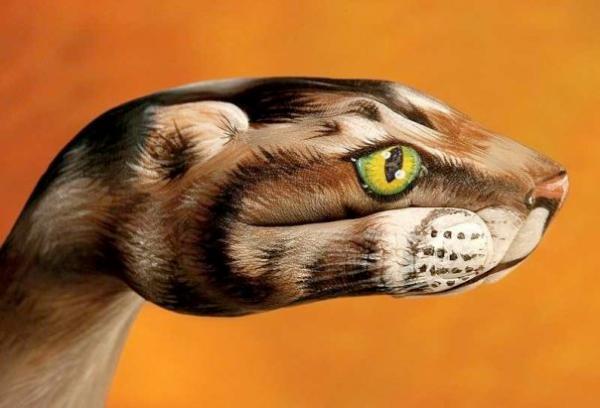 Incredible Hand Paintings by Guido Daniele