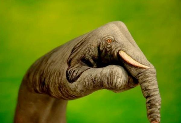 Incredible Hand Paintings by Guido Daniele