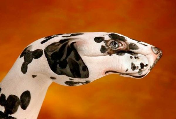 Incredible Hand Paintings by Guido Daniele
