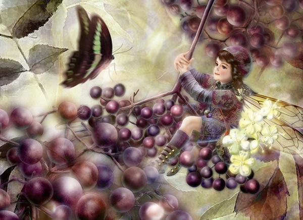 Fairy Paintings by Miharu Yokota