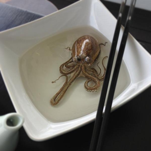 Acrylic on Resin Paintings by kenglye