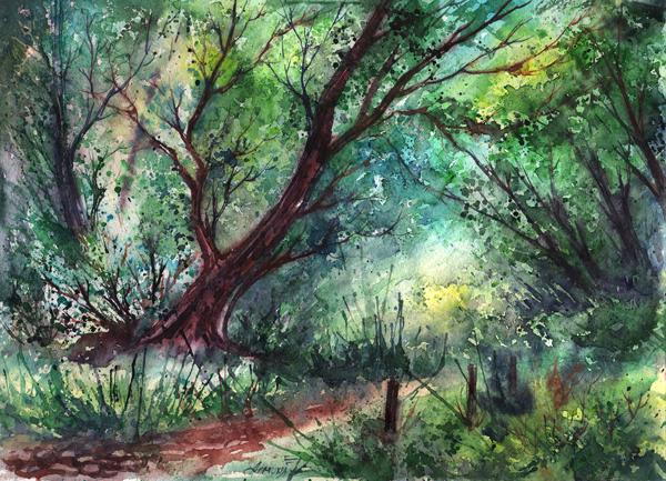 Watercolor Paintings by Anna Armona