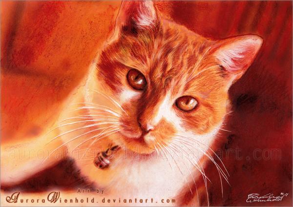 Cat Watercolors by Aurora Wienhold