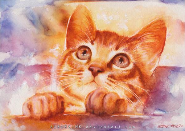 Cat Watercolors by Aurora Wienhold