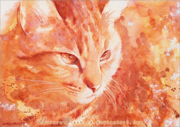 Cat Watercolors by Aurora Wienhold