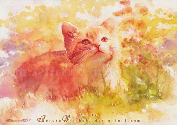 Cat Watercolors by Aurora Wienhold
