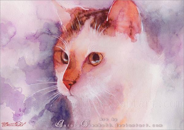 Cat Watercolors by Aurora Wienhold