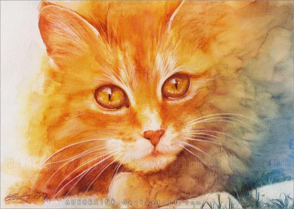 Cat Watercolors by Aurora Wienhold