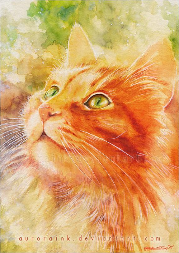 Cat Watercolors by Aurora Wienhold