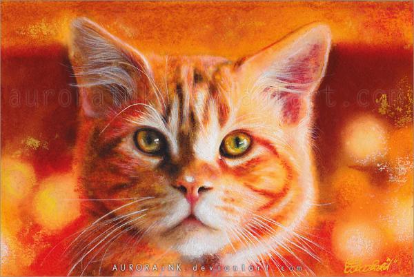 Cat Watercolors by Aurora Wienhold