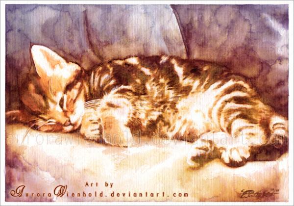 Cat Watercolors by Aurora Wienhold