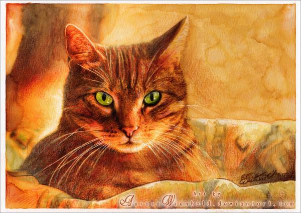 Cat Watercolors by Aurora Wienhold