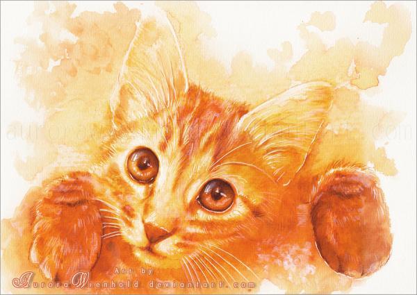 Cat Watercolors by Aurora Wienhold