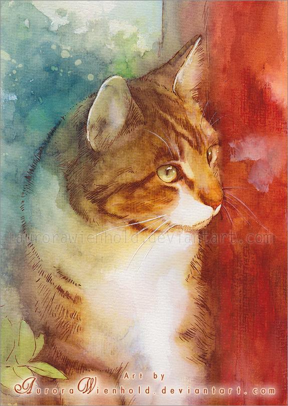 Cat Watercolors by Aurora Wienhold