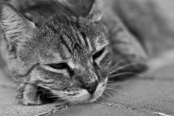 30 Beautiful Sad Pictures