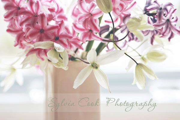 Vintage Flowers by Sylvia Cook