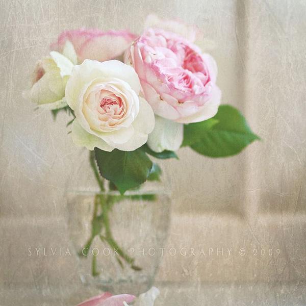 Vintage Flowers by Sylvia Cook