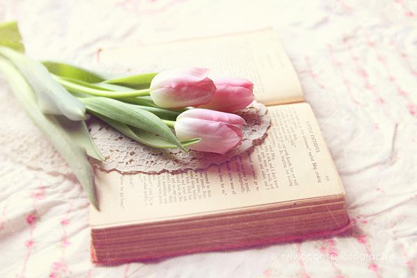 Vintage Flowers by Sylvia Cook