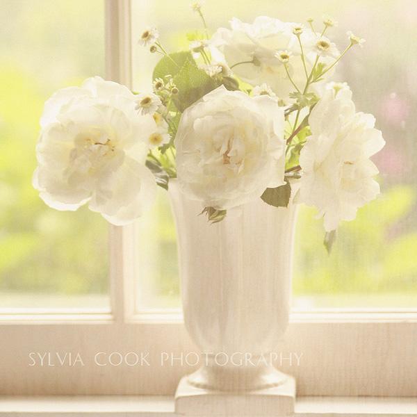 Vintage Flowers by Sylvia Cook
