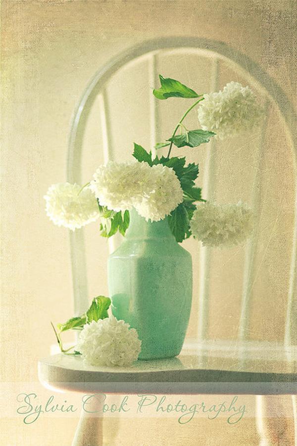 Vintage Flowers by Sylvia Cook