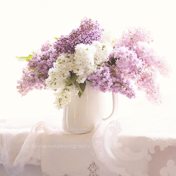 Vintage Flowers by Sylvia Cook