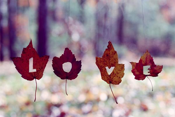 40 Inspiring Love Pictures