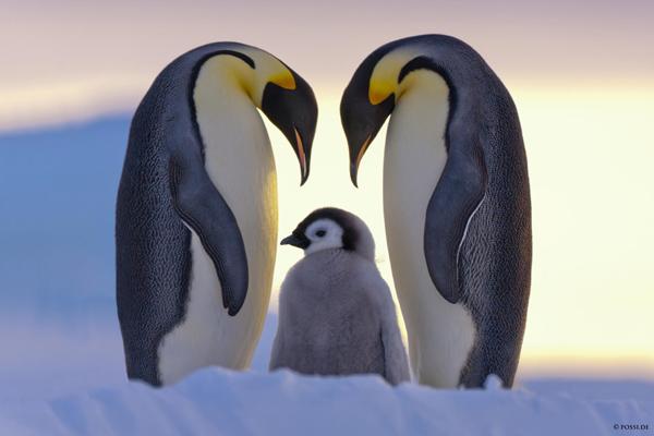 40 Inspiring Love Pictures