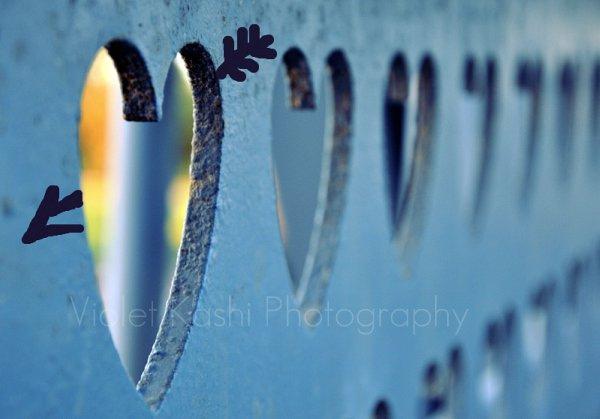 40 Inspiring Love Pictures