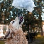 40 Inspiring Love Pictures
