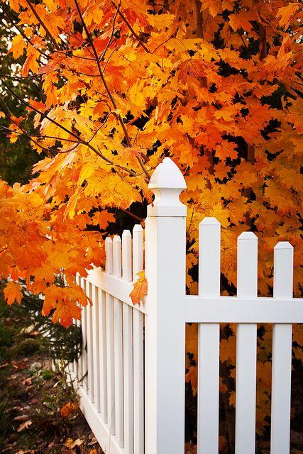20 Beautiful Fall Pictures
