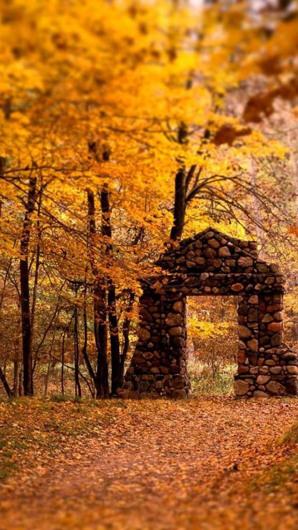 20 Beautiful Fall Pictures