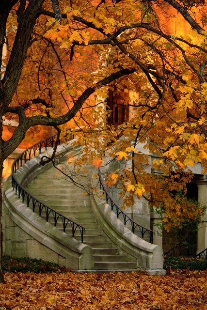 20 Beautiful Fall Pictures