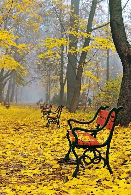 20 Beautiful Fall Pictures