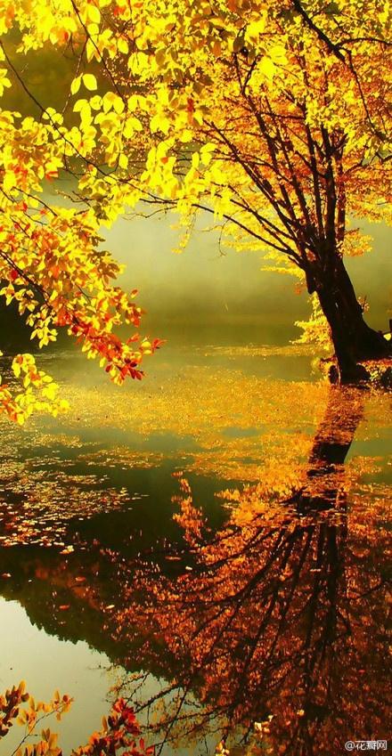 20 Beautiful Fall Pictures