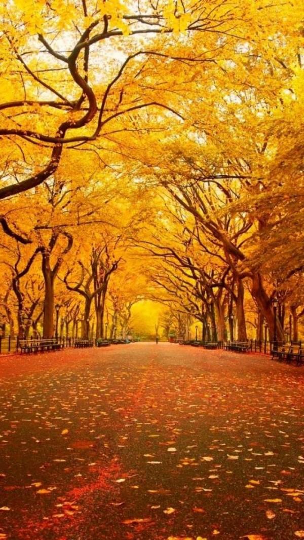 20 Beautiful Fall Pictures