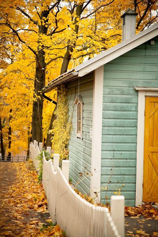 20 Beautiful Fall Pictures