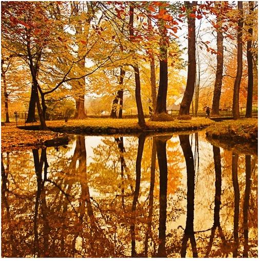 20 Beautiful Fall Pictures