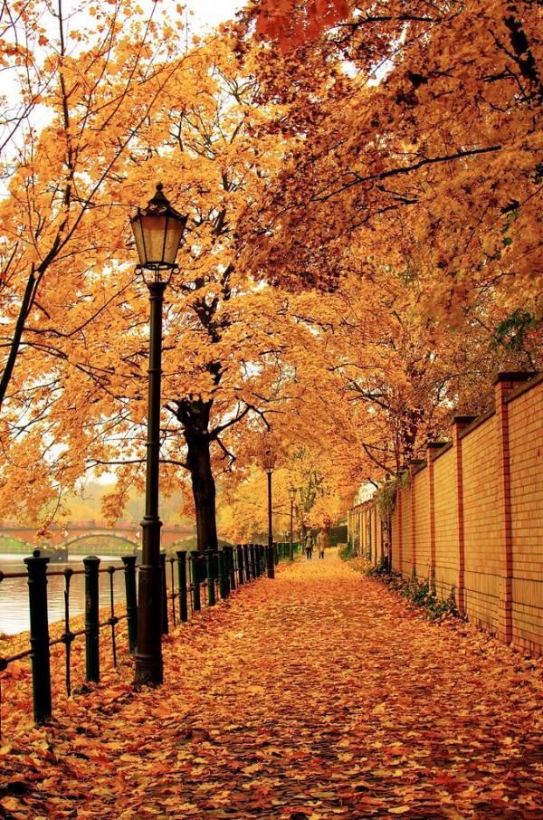 20 Beautiful Fall Pictures