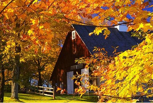 20 Beautiful Fall Pictures