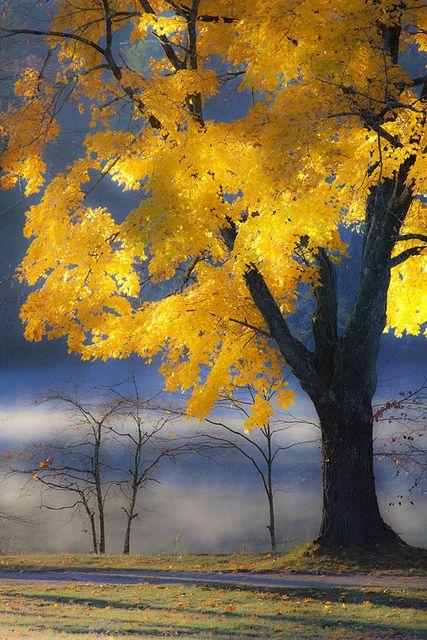 20 Beautiful Fall Pictures
