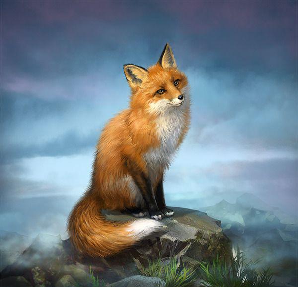 35 Lovely Fox Pictures