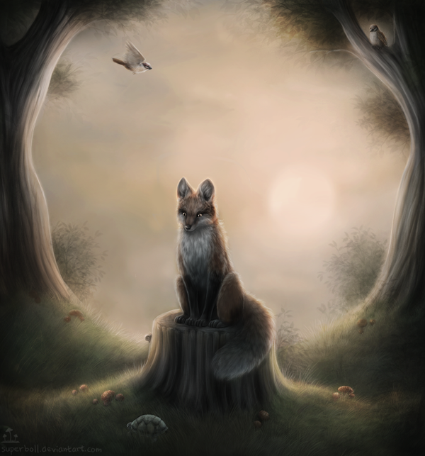 35 Lovely Fox Pictures
