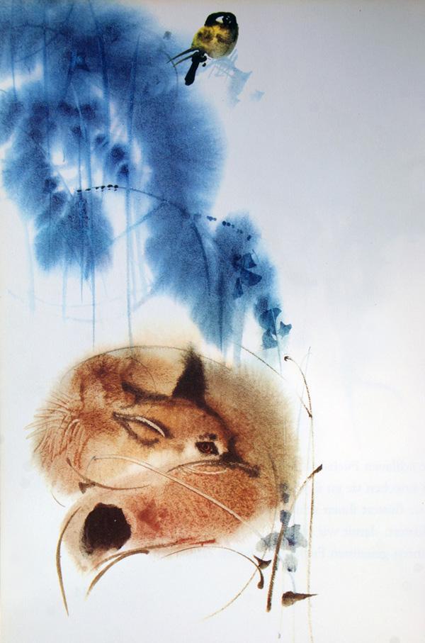 35 Lovely Fox Pictures