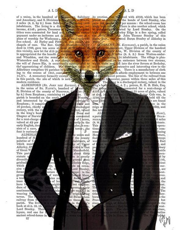 35 Lovely Fox Pictures