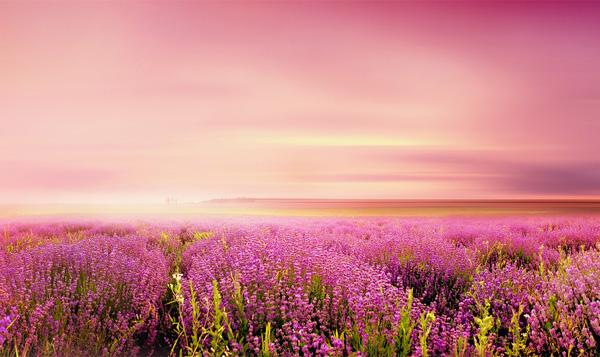 Landscape Photography by Albena Markova