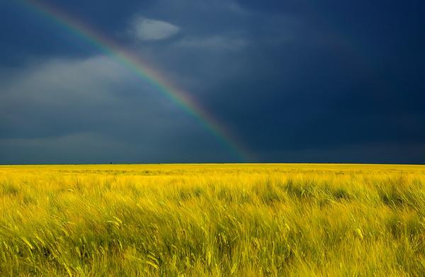 Landscape Photography by Albena Markova