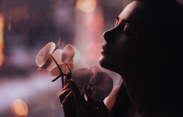 Photography by Sergey Redki